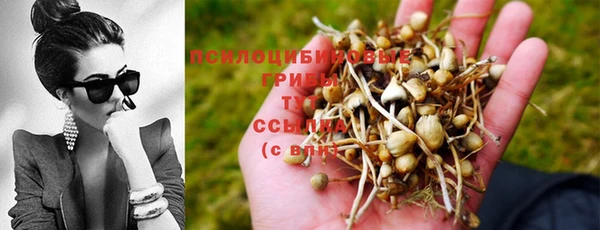 ешки Алексин